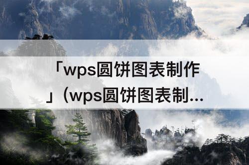 「wps圆饼图表制作」(wps圆饼图表制作文字显示)