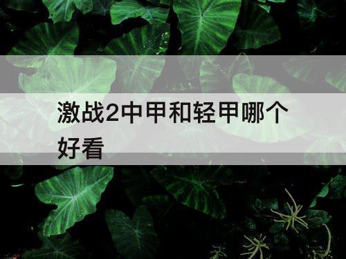 激战2中甲和轻甲哪个好看
