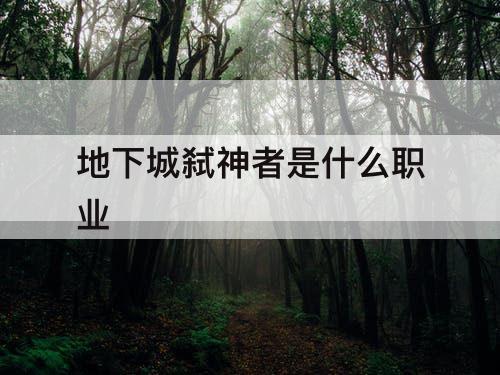 地下城弑神者是什么职业