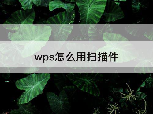 wps怎么用扫描件