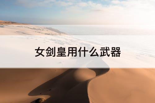 女剑皇用什么武器