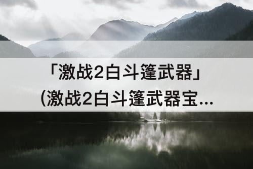 「激战2白斗篷武器」(激战2白斗篷武器宝箱怎么选)
