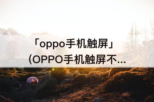 「oppo手机触屏」(OPPO手机触屏不灵了)
