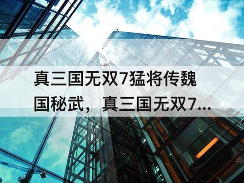 真三国无双7猛将传魏国秘武，真三国无双7猛将传魏国秘武1