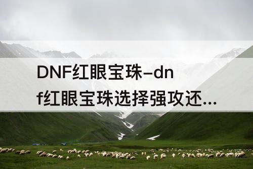 DNF红眼宝珠-dnf红眼宝珠选择强攻还是协力