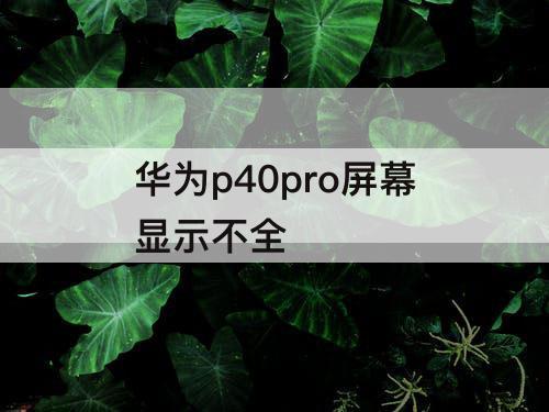 华为p40pro屏幕显示不全