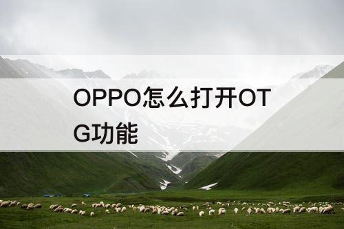 OPPO怎么打开OTG功能