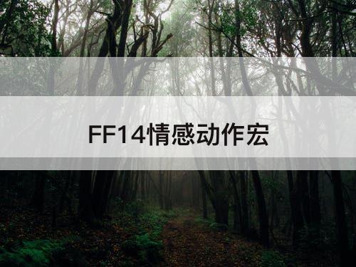 FF14情感动作宏