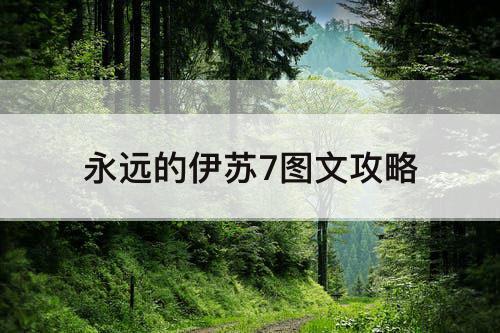 永远的伊苏7图文攻略