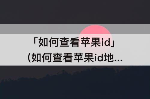 「如何查看苹果id」(如何查看苹果id地区)