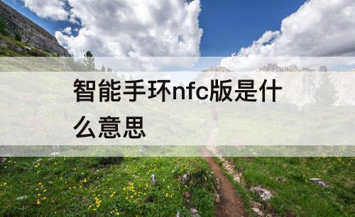 智能手环nfc版是什么意思