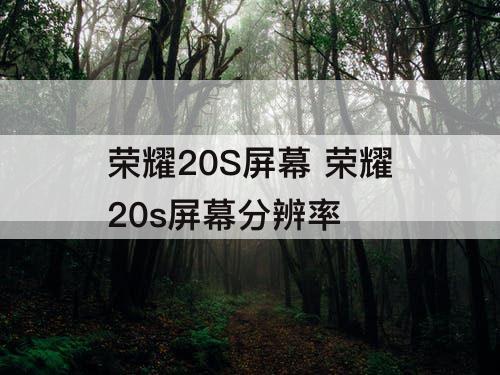 荣耀20S屏幕 荣耀20s屏幕分辨率