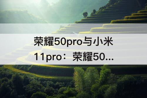 荣耀50pro与小米11pro：荣耀50pro与小米11pro哪个好