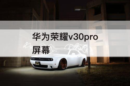 华为荣耀v30pro屏幕