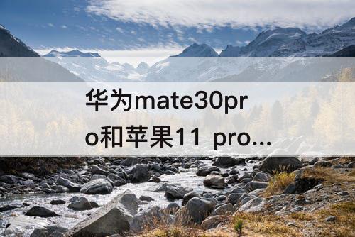 华为mate30pro和苹果11 pro哪个值得买