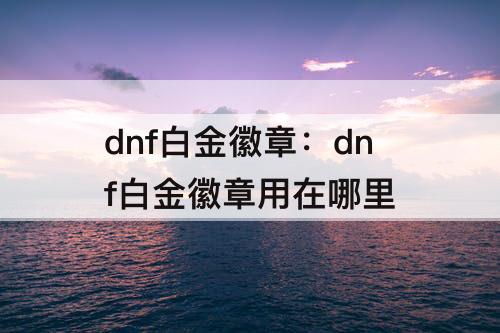 dnf白金徽章：dnf白金徽章用在哪里