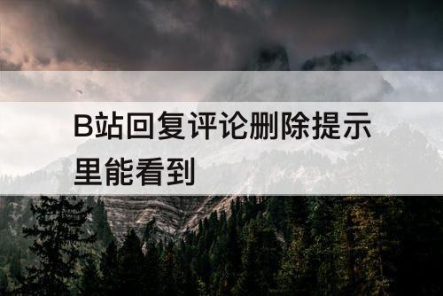 B站回复评论删除提示里能看到