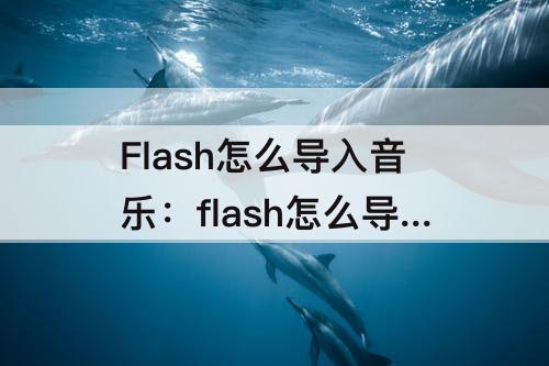 Flash怎么导入音乐：flash怎么导入音乐到舞台