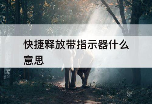 快捷释放带指示器什么意思