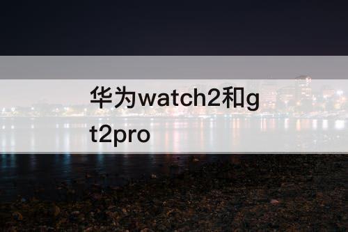 华为watch2和gt2pro