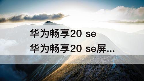 华为畅享20 se 华为畅享20 se屏幕