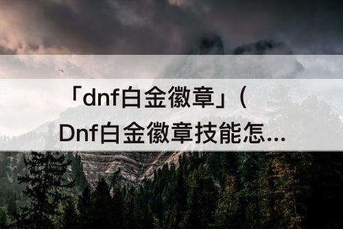 「dnf白金徽章」(Dnf白金徽章技能怎么选)