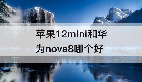 苹果12mini和华为nova8哪个好
