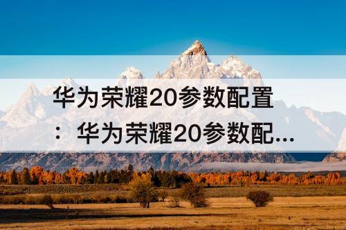 华为荣耀20参数配置：华为荣耀20参数配置详细天极网