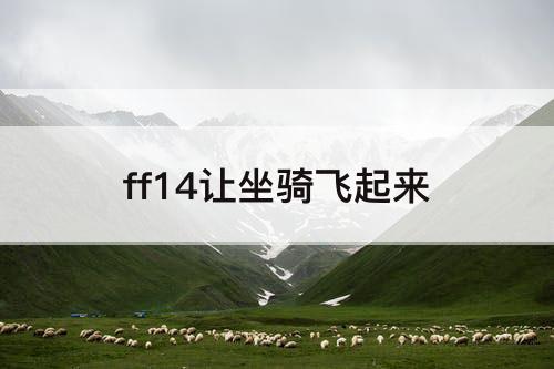 ff14让坐骑飞起来
