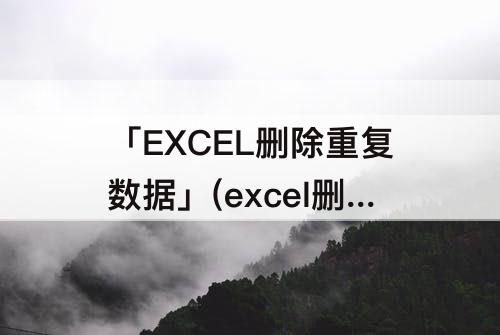 「EXCEL删除重复数据」(excel删除重复数据保留一条公式)