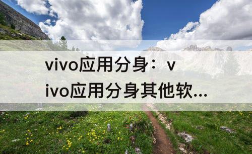 vivo应用分身：vivo应用分身其他软件