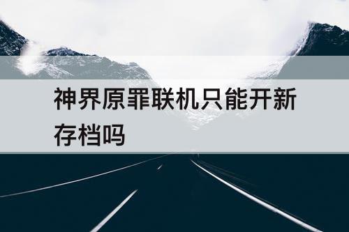 神界原罪联机只能开新存档吗
