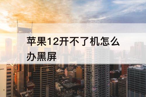 苹果12开不了机怎么办黑屏