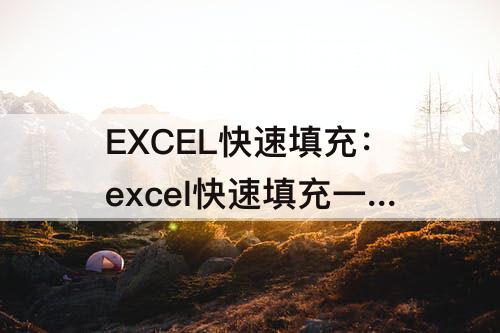 EXCEL快速填充：excel快速填充一列不同的内容