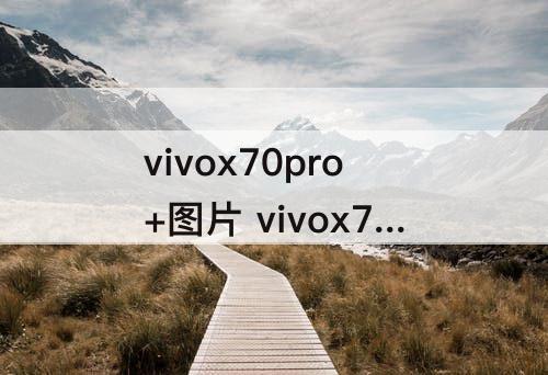 vivox70pro+图片 vivox70pro+图片格式