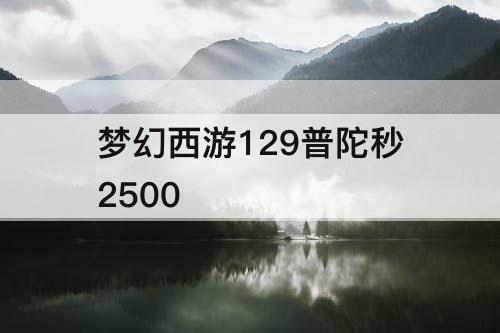 梦幻西游129普陀秒2500