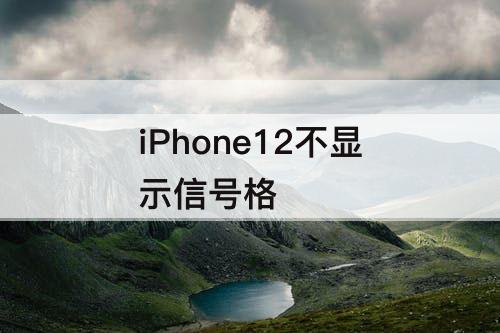 iPhone12不显示信号格