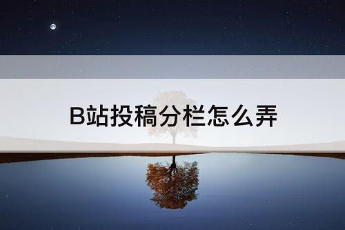 B站投稿分栏怎么弄