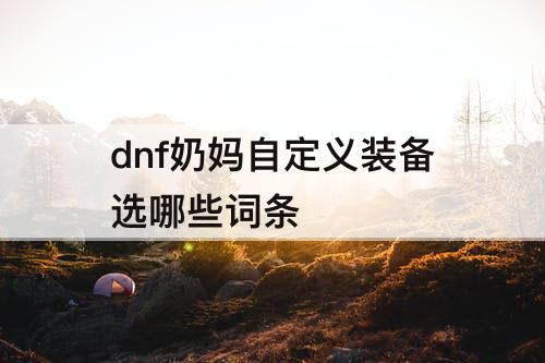 dnf奶妈自定义装备选哪些词条