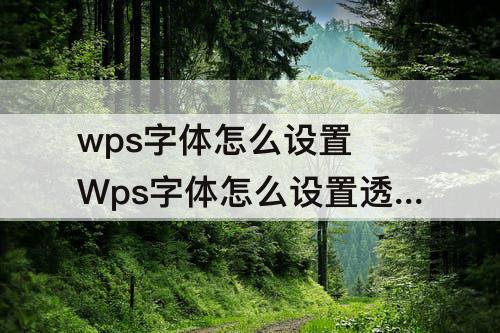 wps字体怎么设置 Wps字体怎么设置透明