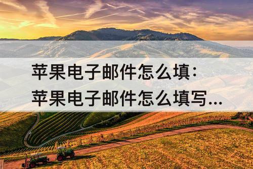 苹果电子邮件怎么填：苹果电子邮件怎么填写下载