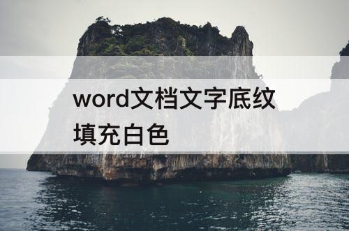 word文档文字底纹填充白色
