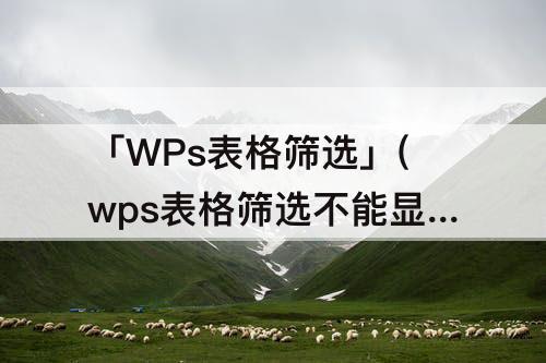 「WPs表格筛选」(wps表格筛选不能显示全部)