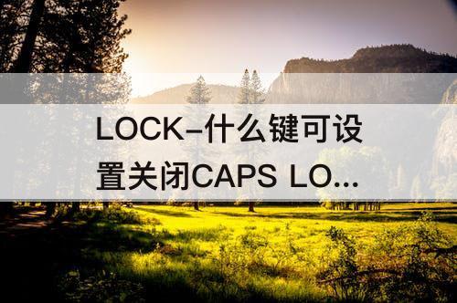 LOCK-什么键可设置关闭CAPS LOCK
