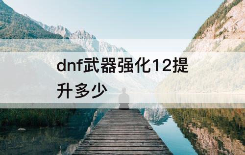 dnf武器强化12提升多少