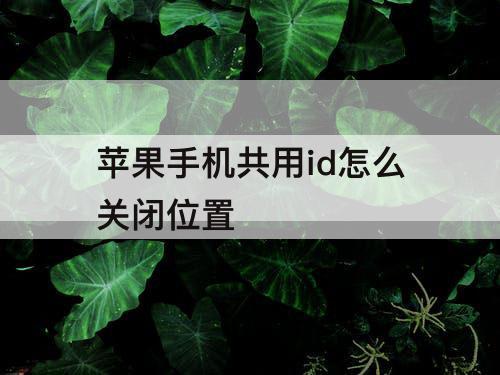苹果手机共用id怎么关闭位置