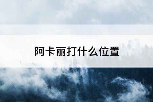 阿卡丽打什么位置
