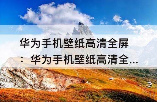 华为手机壁纸高清全屏：华为手机壁纸高清全屏兰博基尼毒药
