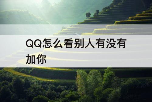 QQ怎么看别人有没有加你