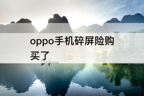 oppo手机碎屏险购买了